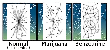 An illustration from a somewhat famous study where spiders were given drugs and then made different kinds of webs, but each web has been crudely pasted over with Paul Baran's famous diagrams of centralized, decentralized, and distributed networks.

Centralized is labeled "Normal (no chemical)", decentralized is labeled "Marijuana", distributed is labeled "Benzedrine"