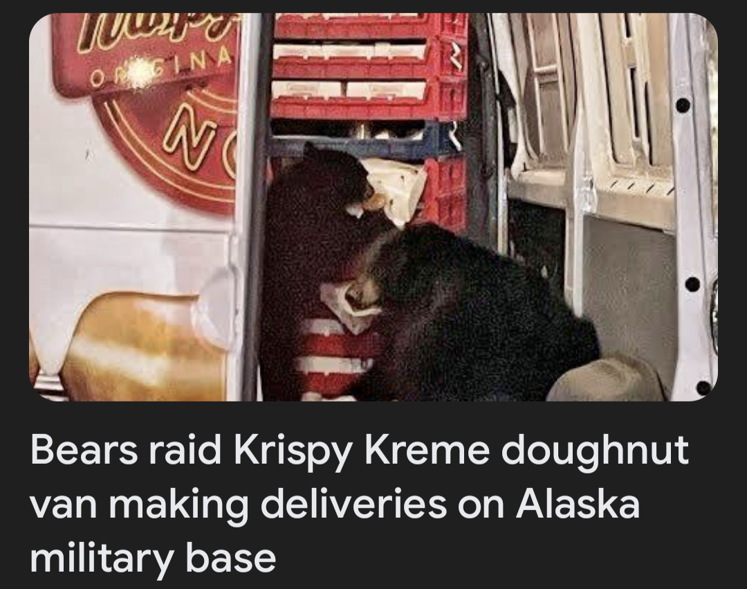 Blurry photo of bears pulling boxes from a truck. Headline: "Bears raid Krispy Kreme doughnut van making deliveries on Alaska military base"