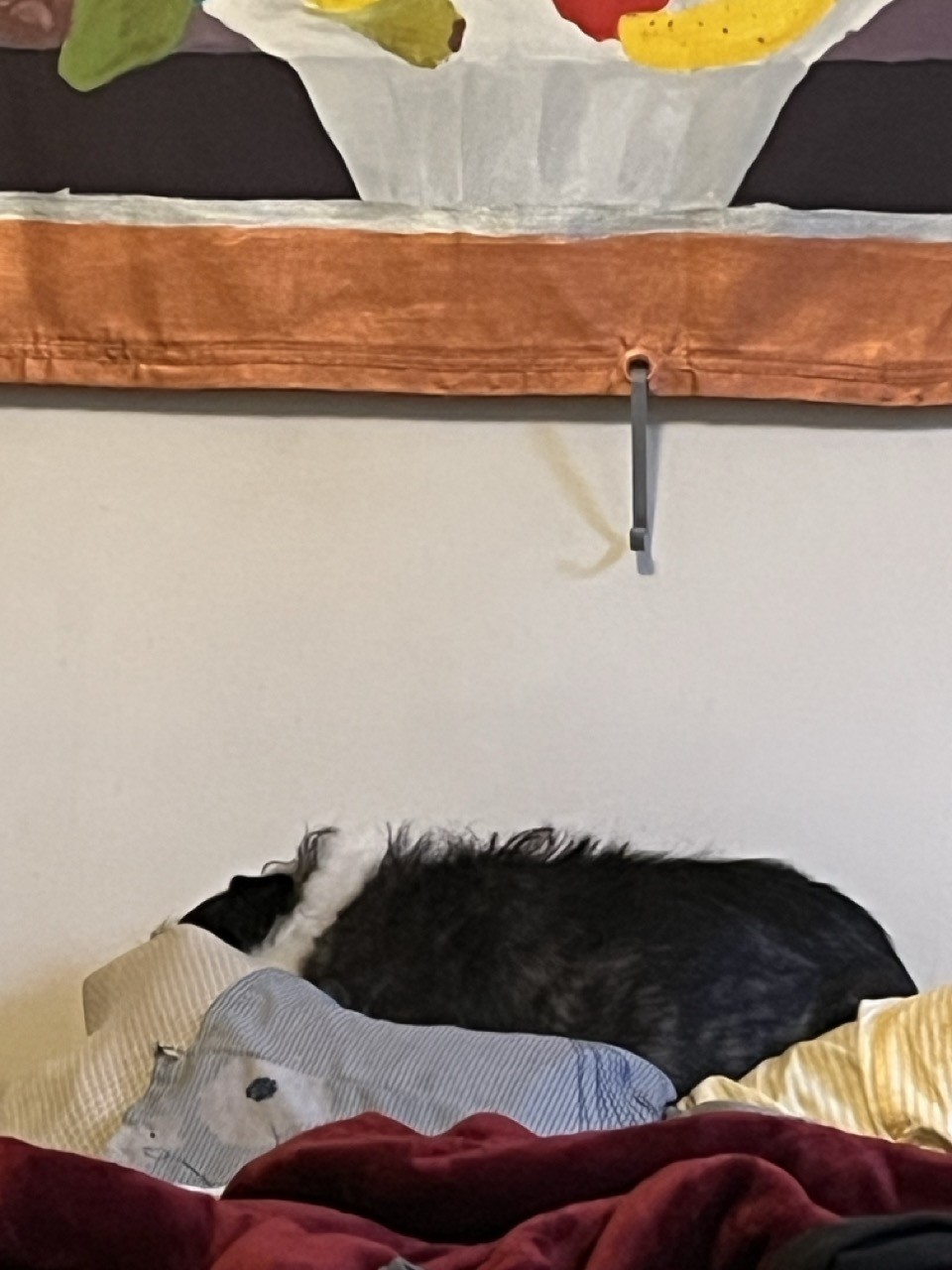 a messy bed covered in rumpled bedding. Somewhere in the photo is a small heap of dog
