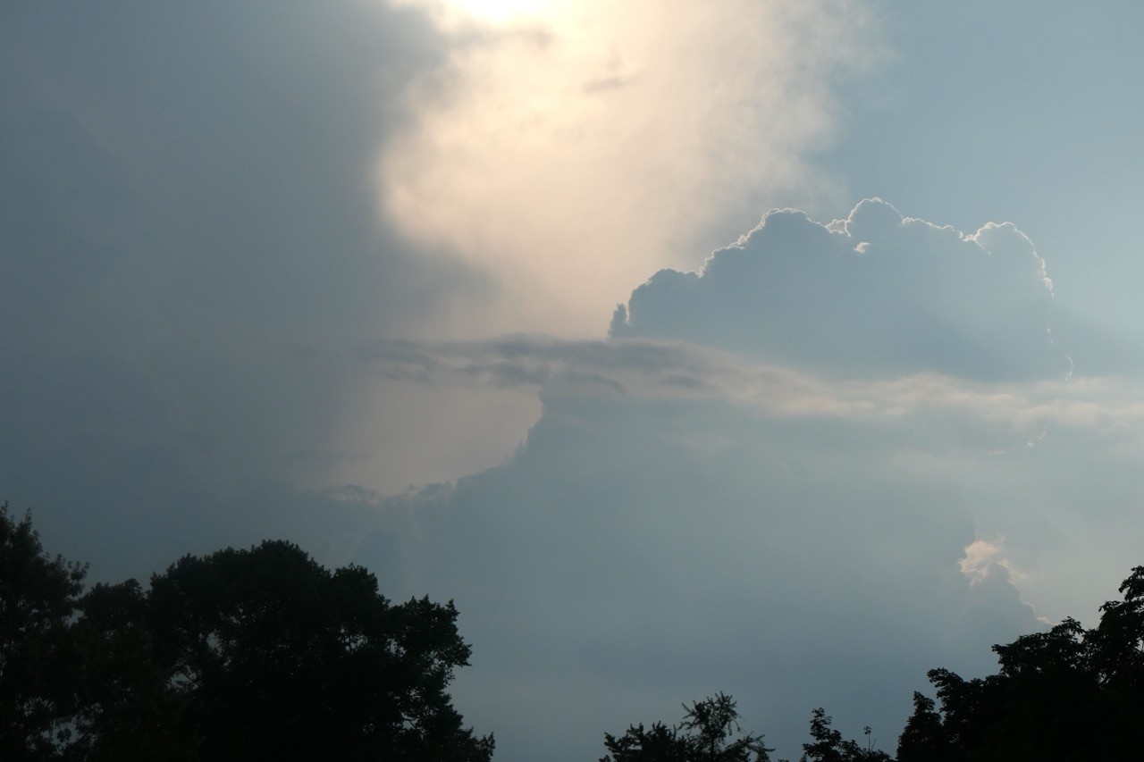 Looking up into a moody sky with billowing cumulus, some streaky cloud cutting across, big ragged patches of haze and some bright sun glow. At the bottom some trees are silhouetted.