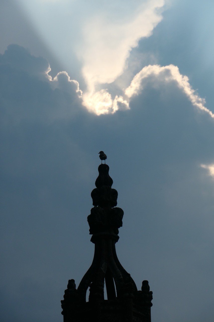 zoom out - in front of a dramatic sky, a tiny bird perches on  top of an ornate gothic spire