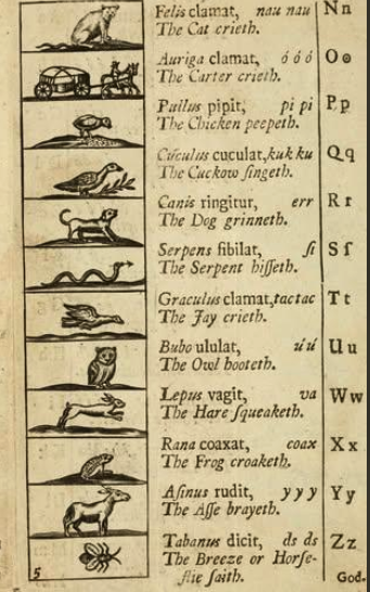 Table showing illustrations of mostly animals and the sounds they make.

CAT: Felis clamat, nau nau
The Cat crieth.
N n

CARTER: Auriga clamat, ò ò ò
The Carter crieth.
O o

CHICKEN: Pullus pipit, pi pi
The Chicken peepeth.
P p

CUCKOO: Cúculus cuculat, kuk ku
The cuckow singeth.
Q q

DOG: Canis ringitur, err
The dog grinneth.
R r

SERPENT: Serpens sibilat, si
The Serpent hisseth.
S s

JAY: Graculus clamat, tac tac
The Jay crieth.
T t

OWL: Bubo ululat, ù ù
The Owl hooteth.
U u

HARE: Lepus vagit, va
The Hare squeaketh.
W w

FROG: Rana coaxat, coax
The Frog croaketh.
X x

ASS: Asinus rudit, y y y
The Asse brayeth.
Y y

Horsefly: Tabanus dicit, ds ds
The Breeze or Horse-flie saith.
Z z